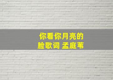 你看你月亮的脸歌词 孟庭苇